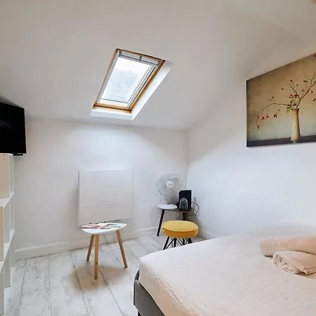 Apartment Le Petit Brossolette - T1 - 500m2 Gare Centre Reims